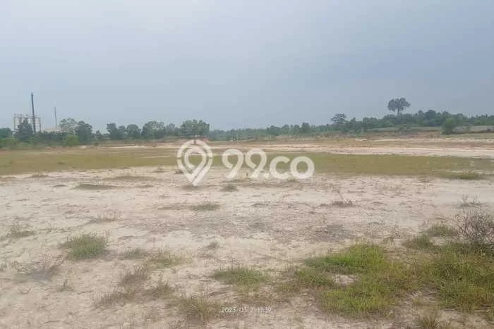 Tanah Dijual Lokasi Ciruas, Serang Luas 100000m2 Legalitas Aman Tanah Dijual Lokasi Ciruas, Serang Luas 100000m2 Legalitas Aman