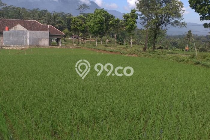 Paling Dicari! Pabrik Dijual di Kota Sukabumi Harga Kompetitif Paling Dicari! Pabrik Dijual di Kota Sukabumi Harga Kompetitif