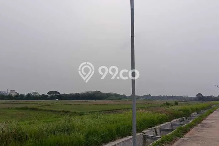 Tanah Dijual Lokasi Ciruas, Serang Luas 20000m2 Legalitas Aman Tanah Dijual Lokasi Ciruas, Serang Luas 20000m2 Legalitas Aman