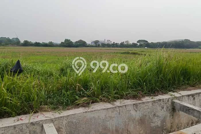 Tanah Dijual Lokasi Ciruas, Serang Luas 20000m2 Legalitas Aman Tanah Dijual Lokasi Ciruas, Serang Luas 20000m2 Legalitas Aman