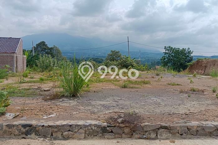 Untuk Dijual Tanah di Gunung Pati Semarang Luas 120m2 SHM Untuk Dijual Tanah di Gunung Pati Semarang Luas 120m2 SHM