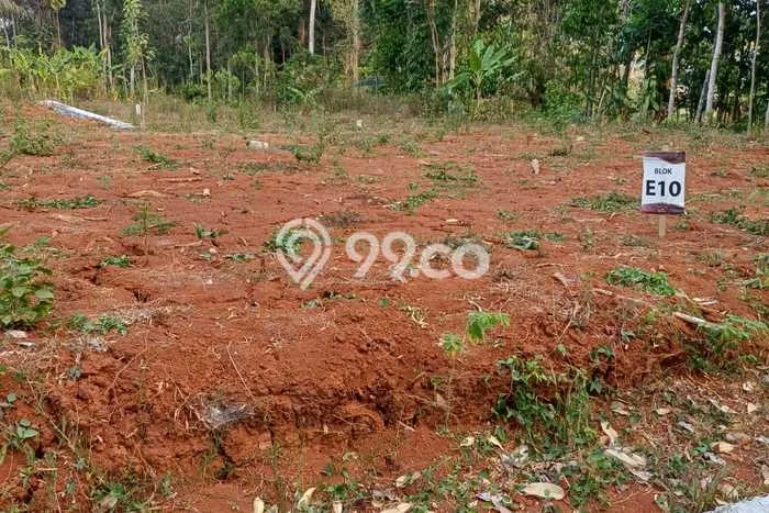 Tanah Dijual Lokasi Gunung Pati, Semarang Luas 120m2 Legalitas Aman Tanah Dijual Lokasi Gunung Pati, Semarang Luas 120m2 Legalitas Aman