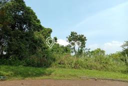 Tanah Kavling Dijual di Bogor dengan Spesifikasi 2123m2 Tanah Kavling Dijual di Bogor dengan Spesifikasi 2123m2