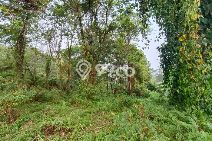 Kavling Tanah untuk Dijual di Sentul City, Bogor, Luas 1178m2 Kavling Tanah untuk Dijual di Sentul City, Bogor, Luas 1178m2