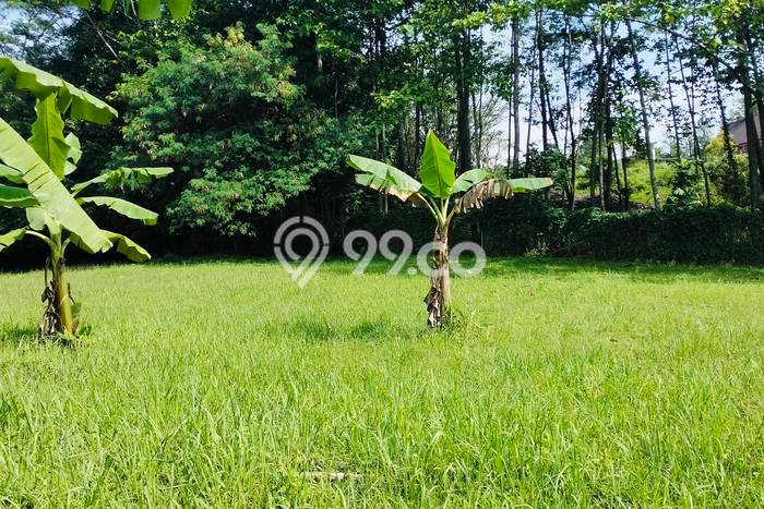 Tanah Dijual Area Strategis di Sentul City Bogor 973m2 Tanah Dijual Area Strategis di Sentul City Bogor 973m2