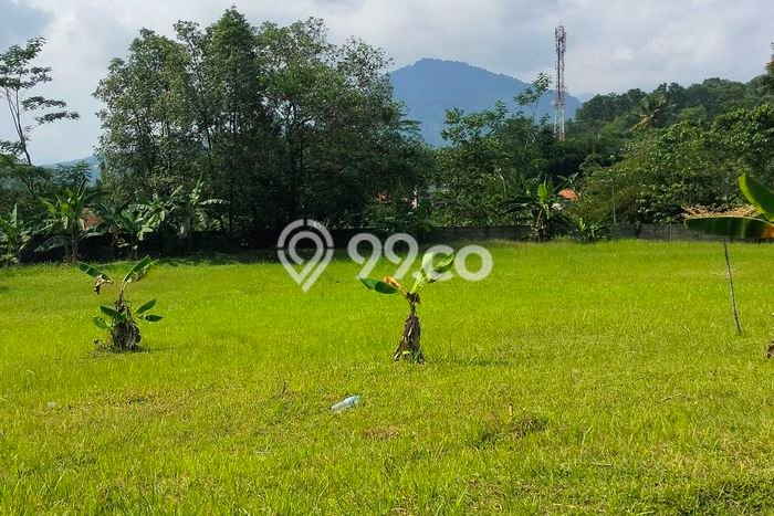 Dijual Tanah di Bogor, Luas 921m2 - Dijual Tanah di Bogor, Luas 921m2 -