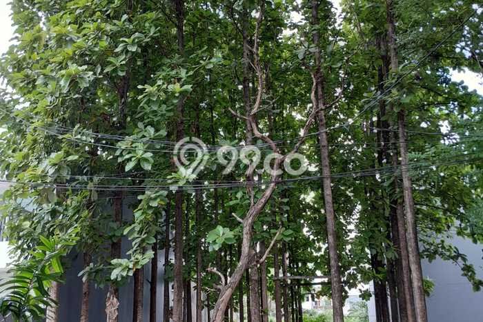 Dijual Tanah 250m2 di Meruya, Jakarta Barat Dijual Tanah 250m2 di Meruya, Jakarta Barat