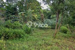 Tanah Kavling Dijual di Salatiga dengan Spesifikasi 805m2 Tanah Kavling Dijual di Salatiga dengan Spesifikasi 805m2