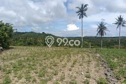 Disewakan Tanah di Nusa Penida Luas 22700m2 SHM Disewakan Tanah di Nusa Penida Luas 22700m2 SHM
