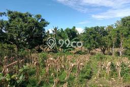 Jarang Ada! Tanah Kavling Disewakan di Klungkung 30000m2 Jarang Ada! Tanah Kavling Disewakan di Klungkung 30000m2