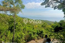 Lahan Kosong Disewakan di Nusa Penida, Semarapura, Luas 150000m2 Lahan Kosong Disewakan di Nusa Penida, Semarapura, Luas 150000m2