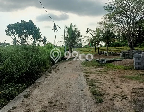 Dijual Hunian Mewah dengan Fasilitas Sekitar Lengkap di Ubud, Gianyar Dijual Hunian Mewah dengan Fasilitas Sekitar Lengkap di Ubud, Gianyar