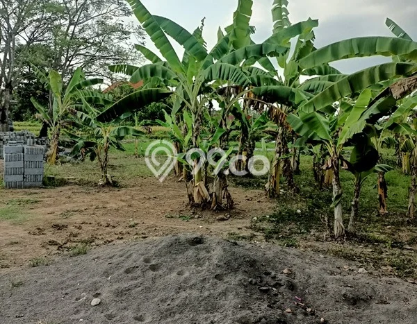 Dijual Hunian Mewah dengan Fasilitas Sekitar Lengkap di Ubud, Gianyar Dijual Hunian Mewah dengan Fasilitas Sekitar Lengkap di Ubud, Gianyar
