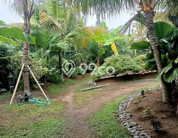 Dijual Hunian Mewah dengan Fasilitas Sekitar Komplit di Ubud, Gianyar Dijual Hunian Mewah dengan Fasilitas Sekitar Komplit di Ubud, Gianyar