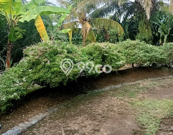 Dijual Hunian Mewah dengan Fasilitas Sekitar Komplit di Ubud, Gianyar Dijual Hunian Mewah dengan Fasilitas Sekitar Komplit di Ubud, Gianyar
