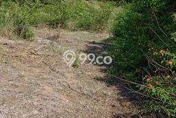 Dijual Tanah 20000m2 di Nusa Penida, Klungkung Dijual Tanah 20000m2 di Nusa Penida, Klungkung
