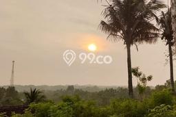 Tanah Disewakan Lokasi Nusa Penida Klungkung Luas 30000m2 Tanah Disewakan Lokasi Nusa Penida Klungkung Luas 30000m2