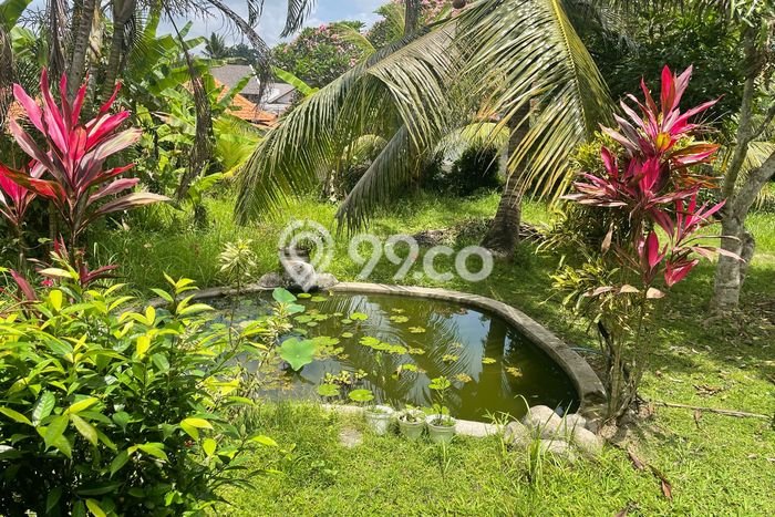 Disewakan Segera Rumah Kondisi Baik di Kawasan Ubud, Gianyar Disewakan Segera Rumah Kondisi Baik di Kawasan Ubud, Gianyar