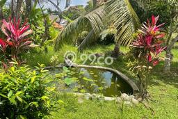 Disewakan Rumah Konsep Modern di Ubud Gianyar dengan 3 Kamar Disewakan Rumah Konsep Modern di Ubud Gianyar dengan 3 Kamar