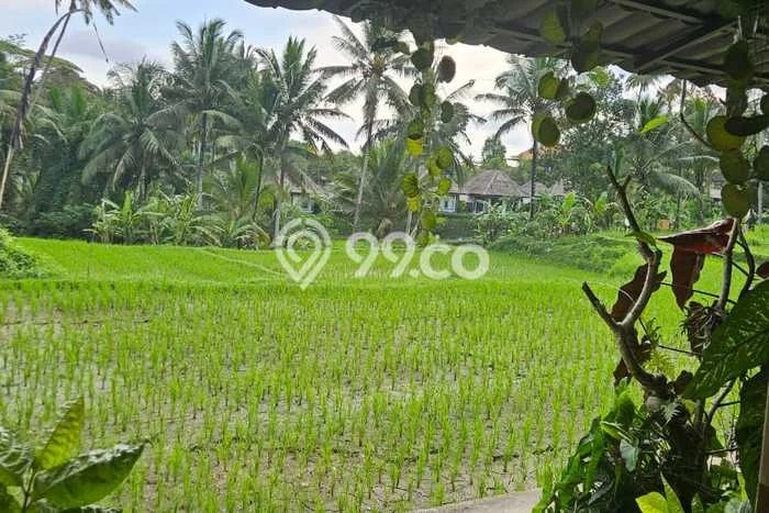 Rumah Nyaman area Ubud, 8 KT, Lokasi Strategis Rumah Nyaman area Ubud, 8 KT, Lokasi Strategis