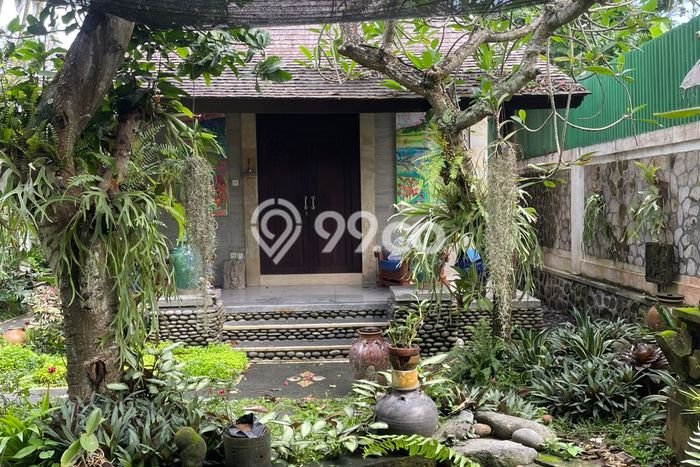 Rumah sewa siap pakai 3 KT di Saba, Gianyar Rumah sewa siap pakai 3 KT di Saba, Gianyar