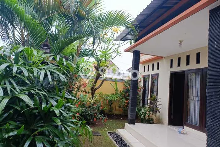 Sewa Rumah Harga Terjangkau di Saba Gianyar Punya 2 Kamar Tidur Sewa Rumah Harga Terjangkau di Saba Gianyar Punya 2 Kamar Tidur