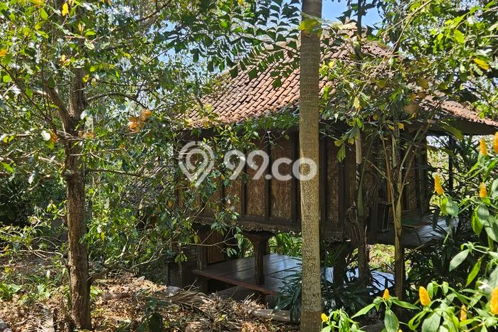 Rumah sewa siap huni 2 KT di Lovina, Buleleng Rumah sewa siap huni 2 KT di Lovina, Buleleng