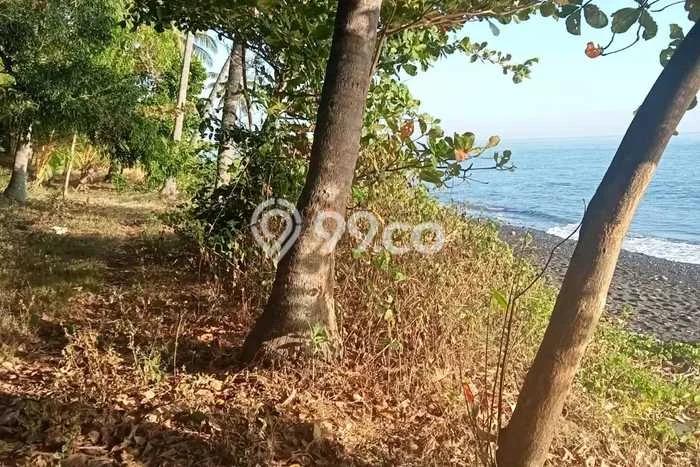 Jarang Ada! Tanah Kavling Disewakan di Buleleng 4600m2 Jarang Ada! Tanah Kavling Disewakan di Buleleng 4600m2