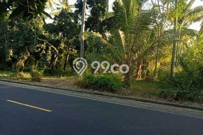 Dijual Tanah di Kubutambahan Buleleng Luas 100000m2 - Dijual Tanah di Kubutambahan Buleleng Luas 100000m2 -
