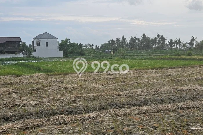 Disewakan Tanah di Gianyar, Luas 1000m2 Area Berkembang Disewakan Tanah di Gianyar, Luas 1000m2 Area Berkembang