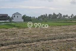 Disewakan Tanah di Gianyar, Luas 1000m2 Area Berkembang Disewakan Tanah di Gianyar, Luas 1000m2 Area Berkembang