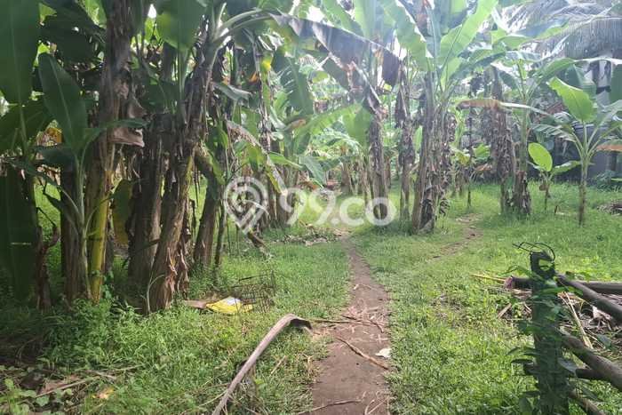 Tanah Kavling Dijual di Gianyar dengan Spesifikasi 1735m2 Tanah Kavling Dijual di Gianyar dengan Spesifikasi 1735m2