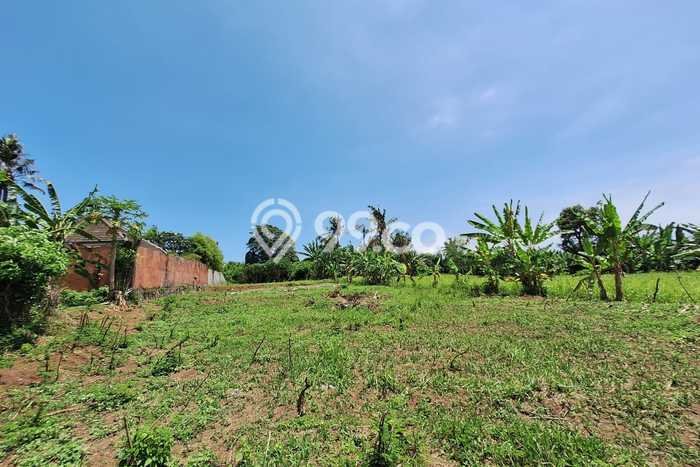 Untuk Dijual Tanah di Gianyar, Luas 2600m2 SHM Untuk Dijual Tanah di Gianyar, Luas 2600m2 SHM