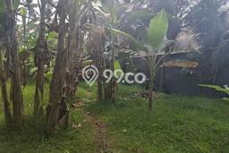 Tanah Dijual di Gianyar Seluas 1735m2 Strategis Tanah Dijual di Gianyar Seluas 1735m2 Strategis