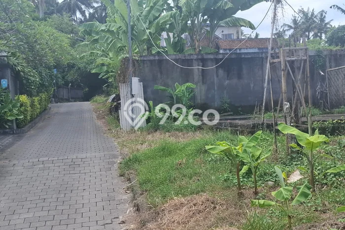 Tanah Disewa Strategis di Gianyar Luas 759m2 Tanah Disewa Strategis di Gianyar Luas 759m2