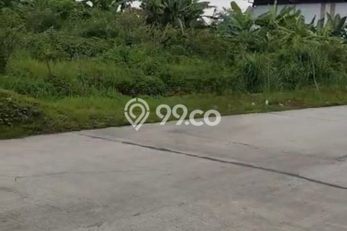 Kavling Tanah Dijual di Ngaliyan, Semarang, Luas 8000m2 Area Strategis Kavling Tanah Dijual di Ngaliyan, Semarang, Luas 8000m2 Area Strategis