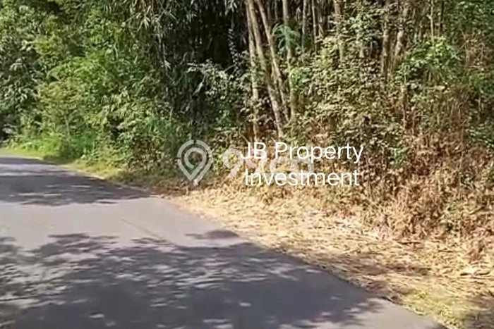 Tanah Dijual Lokasi Suruh, Semarang dengan Luas Tanah 150000m2 dan Status SHM Tanah Dijual Lokasi Suruh, Semarang dengan Luas Tanah 150000m2 dan Status SHM