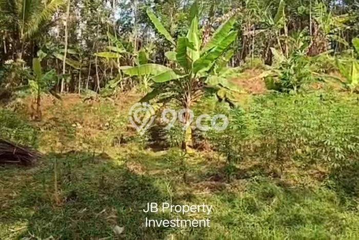 Tanah Dijual Lokasi Suruh, Semarang dengan Luas Tanah 150000m2 dan Status SHM Tanah Dijual Lokasi Suruh, Semarang dengan Luas Tanah 150000m2 dan Status SHM