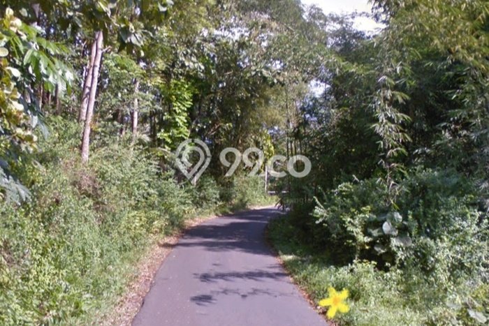 Tanah Dijual Lokasi Suruh Semarang SHM Tanah Dijual Lokasi Suruh Semarang SHM