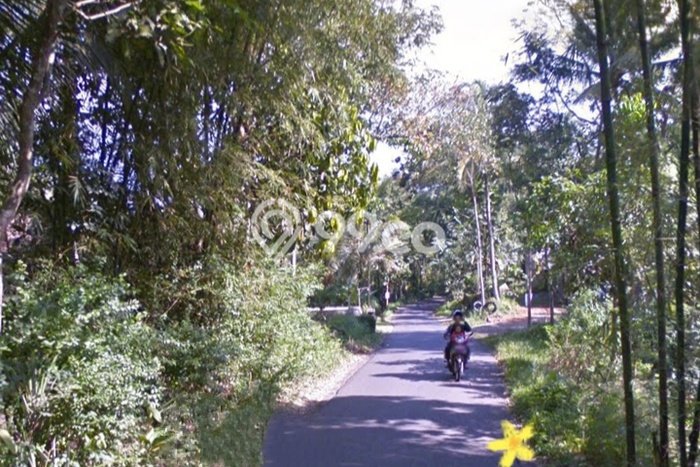 Tanah Dijual Lokasi Suruh Semarang SHM Tanah Dijual Lokasi Suruh Semarang SHM