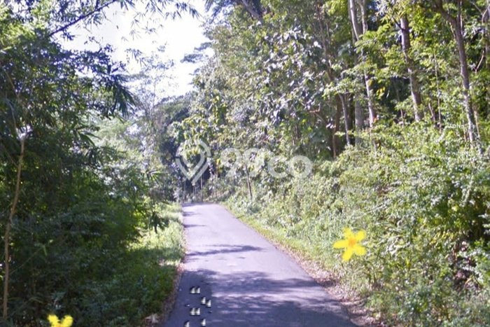 Tanah Dijual Lokasi Suruh Semarang SHM Tanah Dijual Lokasi Suruh Semarang SHM