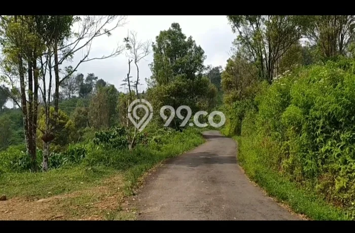 Dijual Tanah di Bawang Batang Luas 300000m2 SHM Dijual Tanah di Bawang Batang Luas 300000m2 SHM