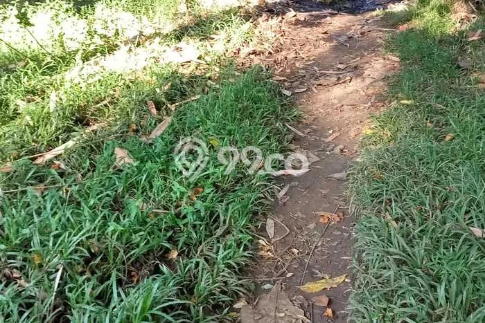 Dijual Tanah 25000m2 di Sinon Sayang, Minahasa Selatan Dijual Tanah 25000m2 di Sinon Sayang, Minahasa Selatan