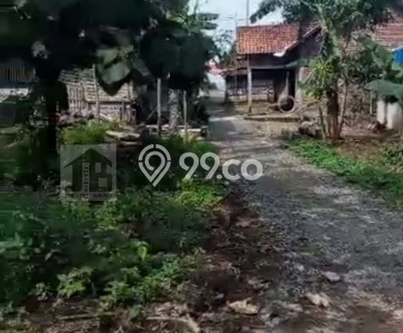 Tanah di Pringapus, Semarang Luas 300m2 Dijual Segera Tanah di Pringapus, Semarang Luas 300m2 Dijual Segera