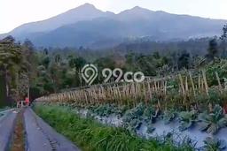 Untuk Dijual Tanah di Getasan Semarang Luas 938m2 SHM Untuk Dijual Tanah di Getasan Semarang Luas 938m2 SHM