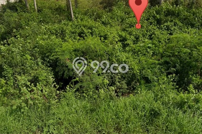 Tanah untuk Dijual Lokasi Kaliwungu, Kendal Luas 100000m2 SHM Tanah untuk Dijual Lokasi Kaliwungu, Kendal Luas 100000m2 SHM
