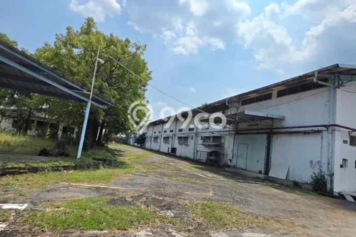 Unit Gudang disewakan di Sragen Sragen dengan LT 16000m2 / LB 8000m2 Unit Gudang disewakan di Sragen Sragen dengan LT 16000m2 / LB 8000m2
