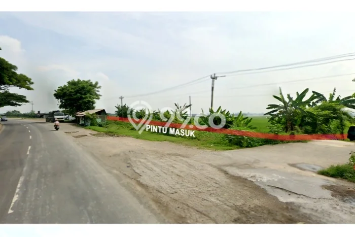 Tanah Kavling untuk Dijual di Kaliwungu Kendal 1.239179e+06m2 Tanah Kavling untuk Dijual di Kaliwungu Kendal 1.239179e+06m2