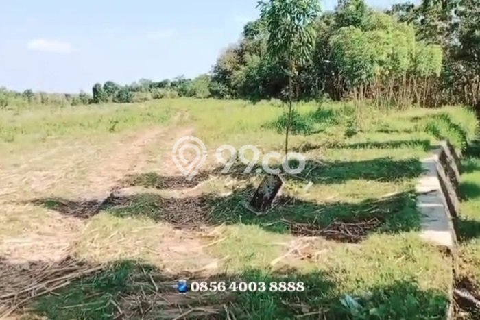 Lahan Kosong Dijual di Semarang dengan Area 7000m2 Lahan Kosong Dijual di Semarang dengan Area 7000m2