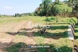 Tanah Kavling di Suruh Dijual dengan Luas 7000m2 Tanah Kavling di Suruh Dijual dengan Luas 7000m2